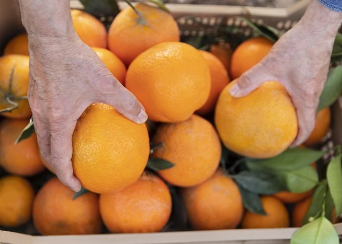 3 IMG agrumi galleria