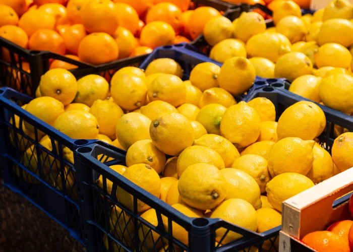 5 IMG agrumi galleria