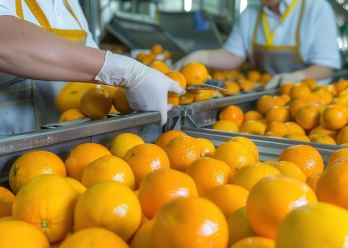 From Oranges to Jam: Behind the Scenes at a Factory Processing C